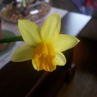 Elizabeth Gee Photo 4