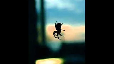 Harold Madorsky Photo 6