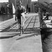 Sandra Shaw Photo 40