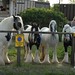 Alison Appleby Photo 19
