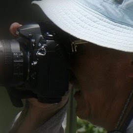 Paul Kwok Photo 11