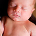 Angela Pursell Photo 24