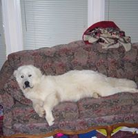 Sandra Lawton Photo 4