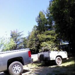 Don Cheek Photo 11