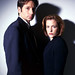 David Moulder Photo 35