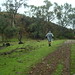 Frances Hughes Photo 42