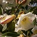 Patricia Gates Photo 42