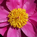 Amy Freund Photo 32