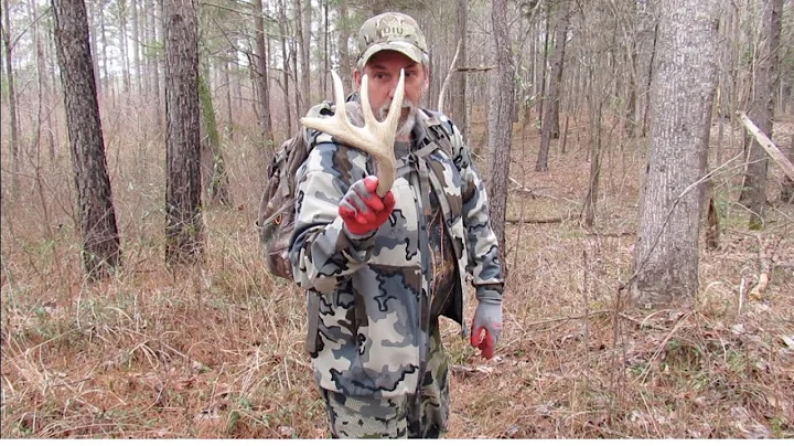 Perry Hunt Photo 7