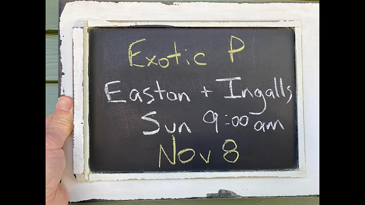 Tonya Ingalls Photo 5