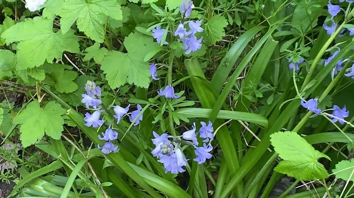 April Meadows Photo 28