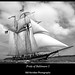 Bill Wooden Photo 23