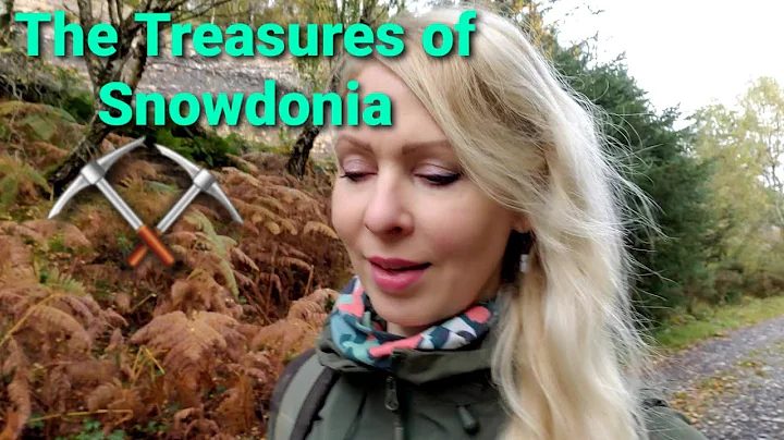 Donnita Wald Photo 13