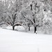 Cynthia Bradford Photo 45