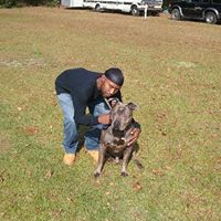 Jamal Collins Photo 1