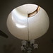 Deborah Tompkins Photo 29