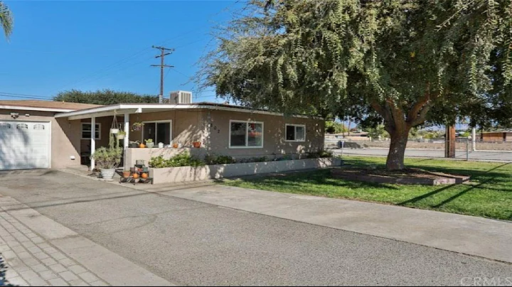 Roxann Rodriguez Photo 24