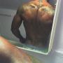 Stephen Stubbs Photo 24