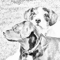 Anita Painter Photo 5