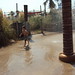 Carter Taylor Photo 35
