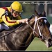 Calvin King Photo 43