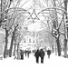 Mark Schnee Photo 20