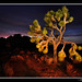 Joshua Neeley Photo 37