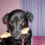 Cheryl Caskey Photo 12