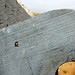 Guy Hawes Photo 17