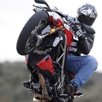 Steve Halliday Photo 6
