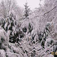 Gina Underwood Photo 4