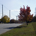John Fleischmann Photo 31