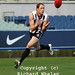 Mark Fraser Photo 29