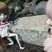 Mavis Chan Photo 31