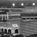 Darrell Royal Photo 20