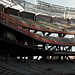 Steve Lefkowitz Photo 16