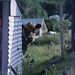 Raymond Randolph Photo 32