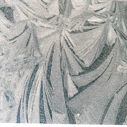 Richard Everett Photo 15