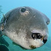 Brian Puffer Photo 21