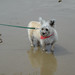 Diann Bailey Photo 22