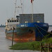 Dana Barrows Photo 15