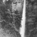 Edwin Cooke Photo 24