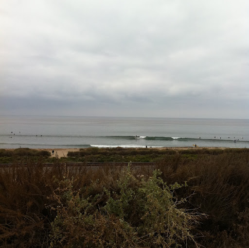 Alan Holden Photo 13