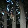 Tom Mcdermott Photo 25