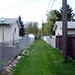 Regina Whitmore Photo 22