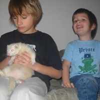 Corey Schwartz Photo 1