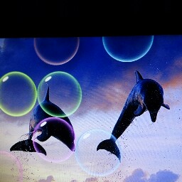 Judith Laws Photo 2