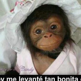 Zahira Torres Photo 9