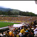 Luis Fuenmayor Photo 31