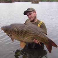 Darren Stephens Photo 8